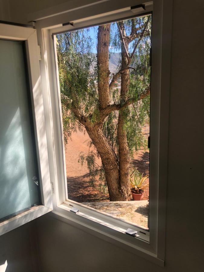 Casita Entre Vinedos, Experiencia Rural, Ideal Ninos. Tegueste Kültér fotó