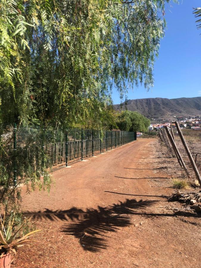 Casita Entre Vinedos, Experiencia Rural, Ideal Ninos. Tegueste Kültér fotó