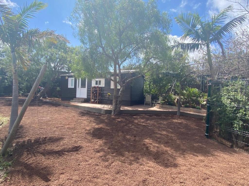 Casita Entre Vinedos, Experiencia Rural, Ideal Ninos. Tegueste Kültér fotó