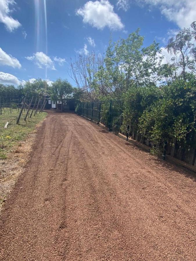 Casita Entre Vinedos, Experiencia Rural, Ideal Ninos. Tegueste Kültér fotó