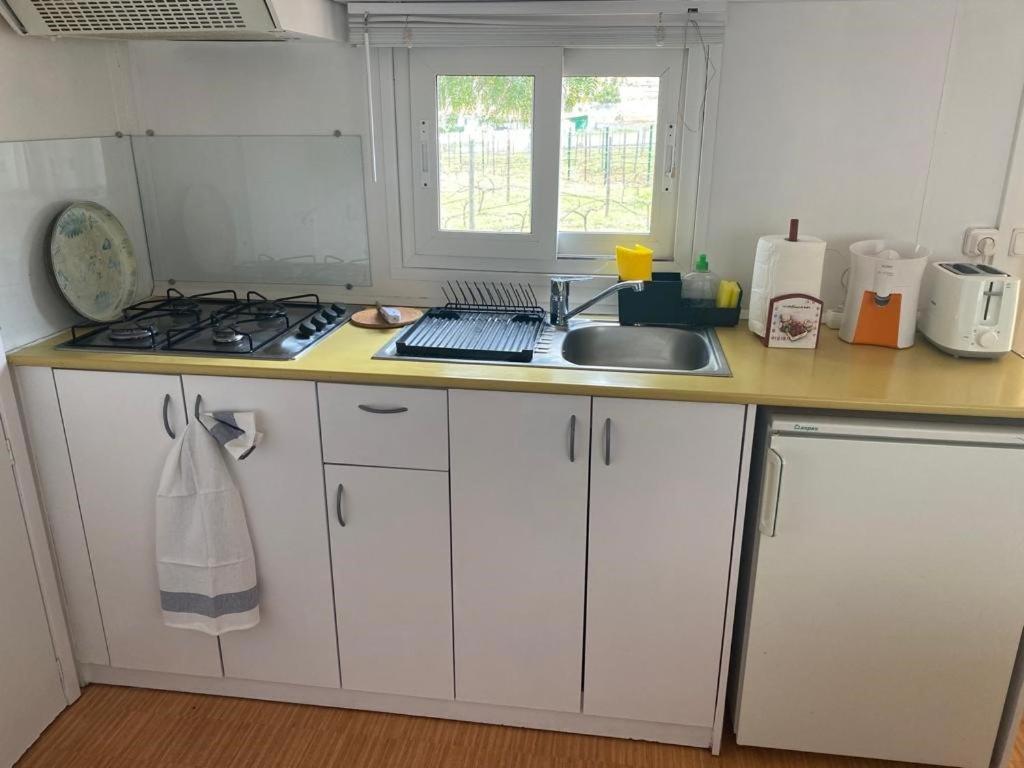 Casita Entre Vinedos, Experiencia Rural, Ideal Ninos. Tegueste Kültér fotó