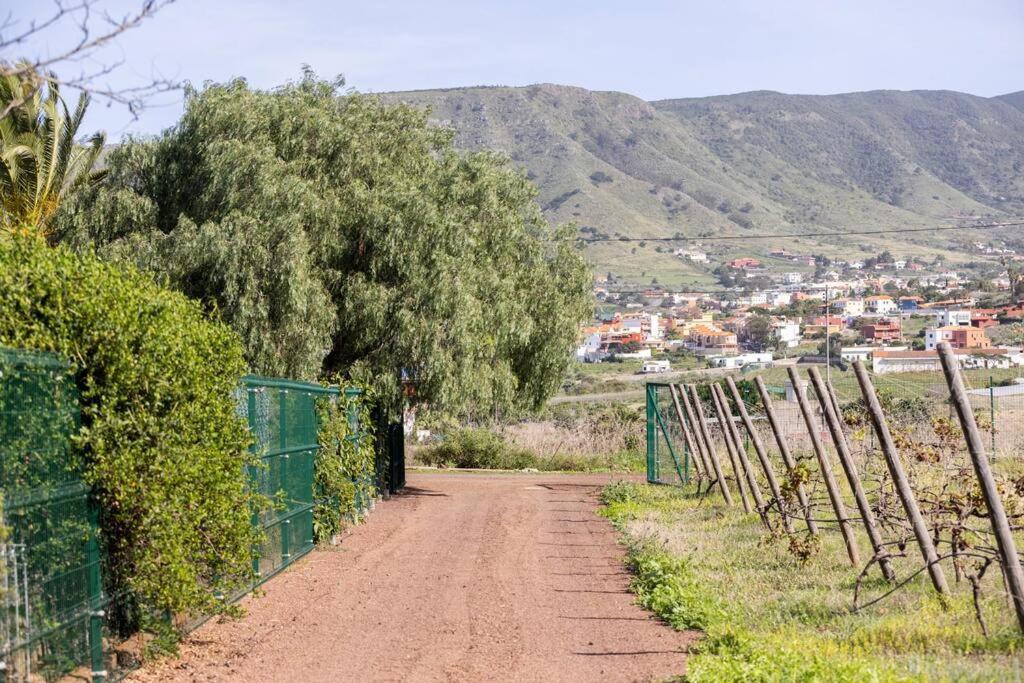 Casita Entre Vinedos, Experiencia Rural, Ideal Ninos. Tegueste Kültér fotó