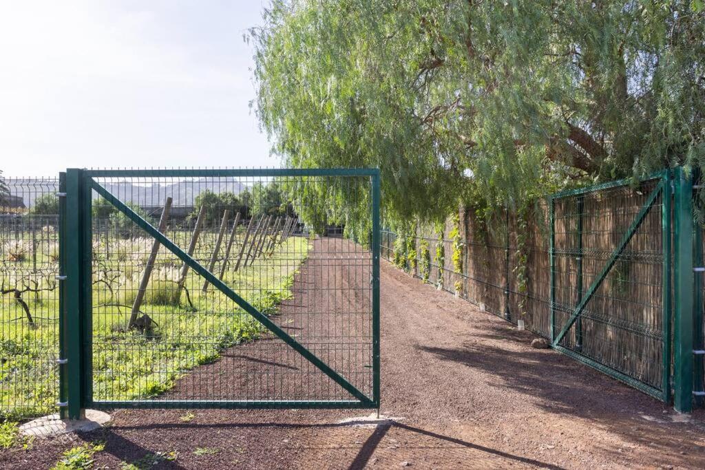 Casita Entre Vinedos, Experiencia Rural, Ideal Ninos. Tegueste Kültér fotó