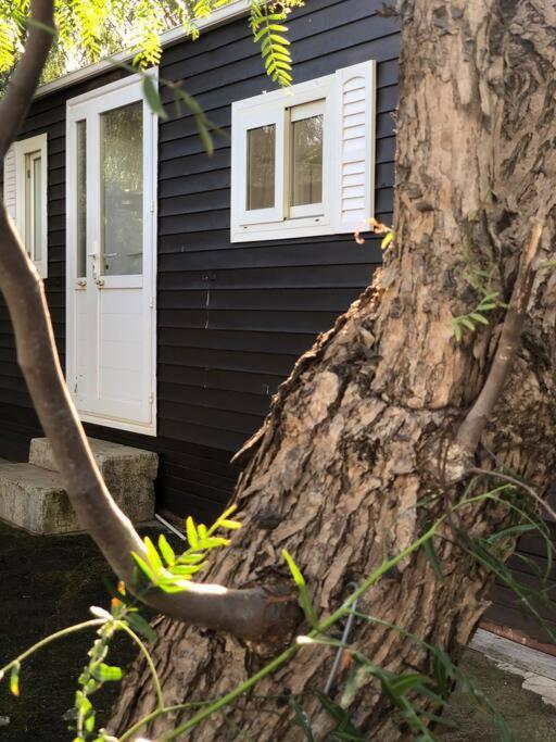 Casita Entre Vinedos, Experiencia Rural, Ideal Ninos. Tegueste Kültér fotó