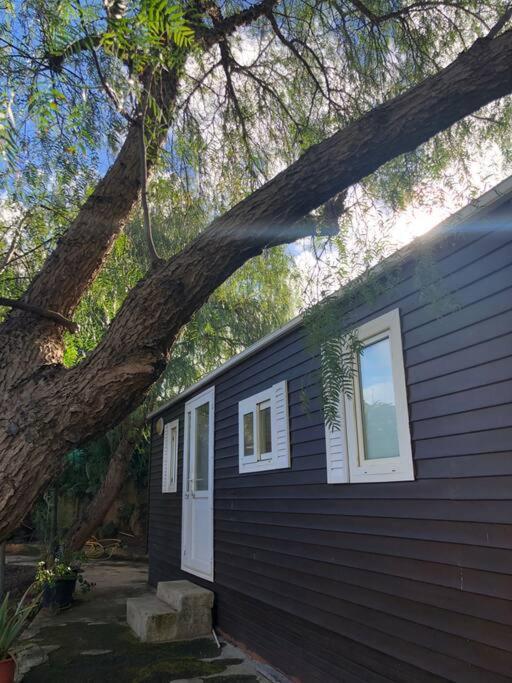 Casita Entre Vinedos, Experiencia Rural, Ideal Ninos. Tegueste Kültér fotó