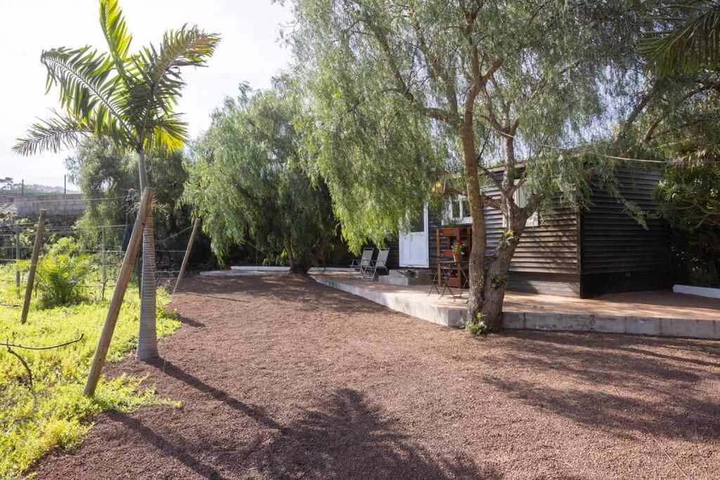 Casita Entre Vinedos, Experiencia Rural, Ideal Ninos. Tegueste Kültér fotó