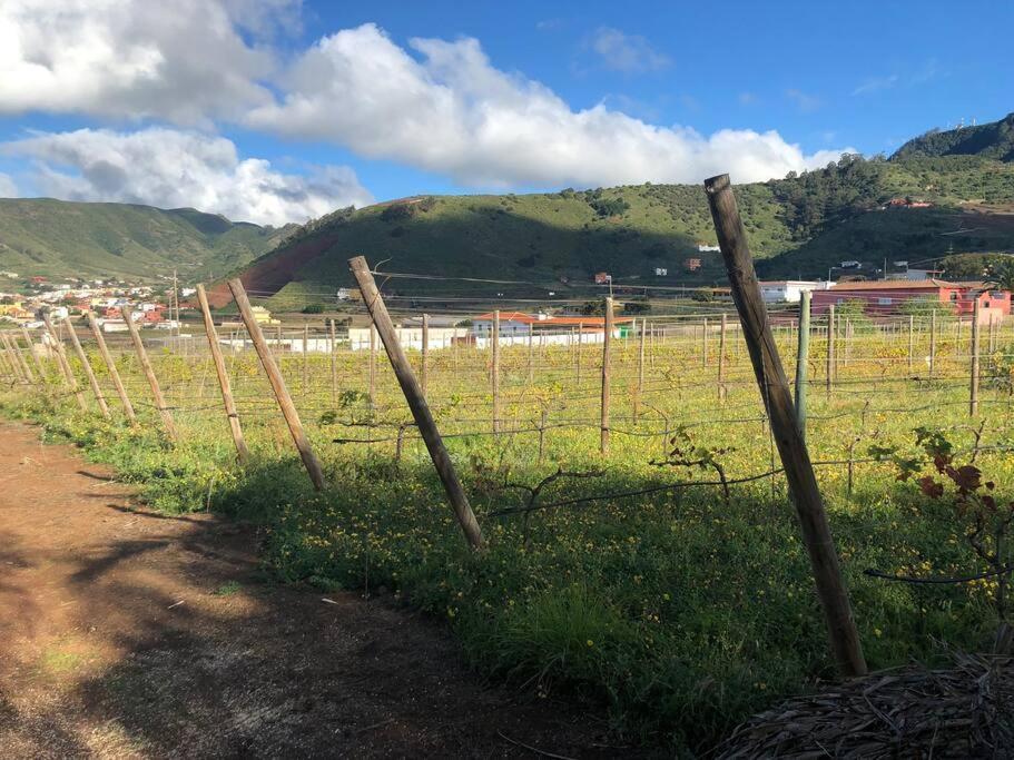 Casita Entre Vinedos, Experiencia Rural, Ideal Ninos. Tegueste Kültér fotó